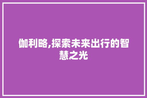 伽利略,探索未来出行的智慧之光