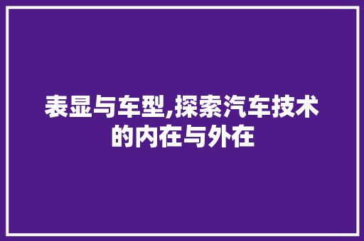 表显与车型,探索汽车技术的内在与外在