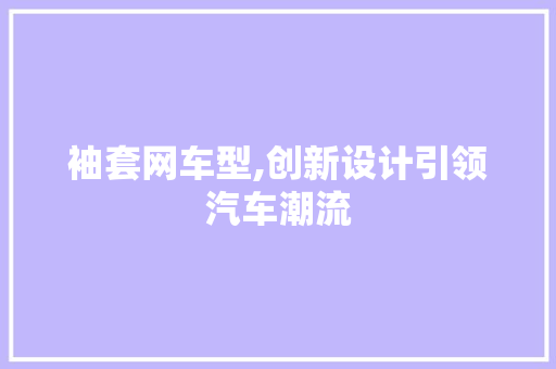 袖套网车型,创新设计引领汽车潮流