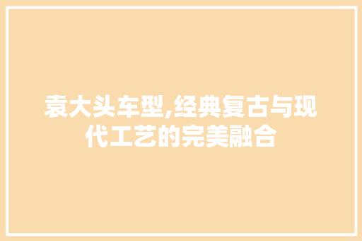 袁大头车型,经典复古与现代工艺的完美融合