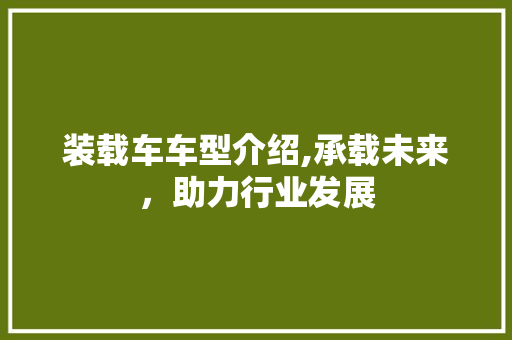 装载车车型介绍,承载未来，助力行业发展