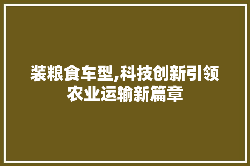 装粮食车型,科技创新引领农业运输新篇章