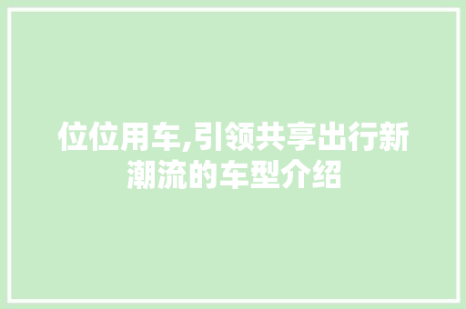 位位用车,引领共享出行新潮流的车型介绍