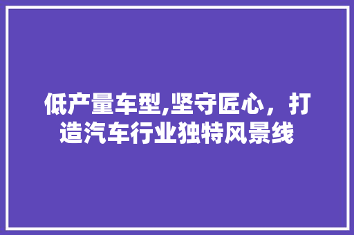 低产量车型,坚守匠心，打造汽车行业独特风景线