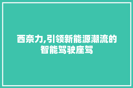 西奈力,引领新能源潮流的智能驾驶座驾