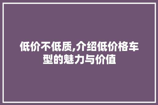 低价不低质,介绍低价格车型的魅力与价值