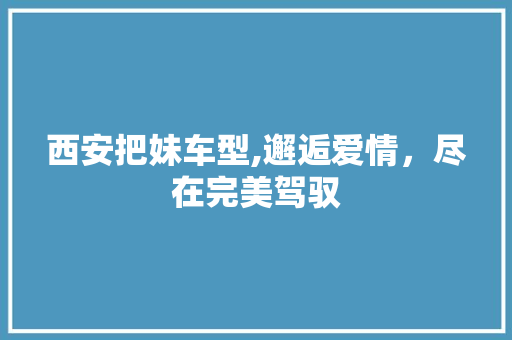 西安把妹车型,邂逅爱情，尽在完美驾驭