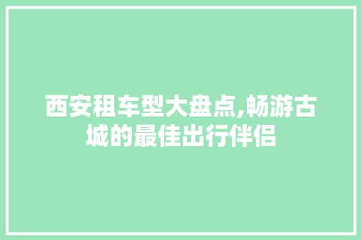 西安租车型大盘点,畅游古城的最佳出行伴侣