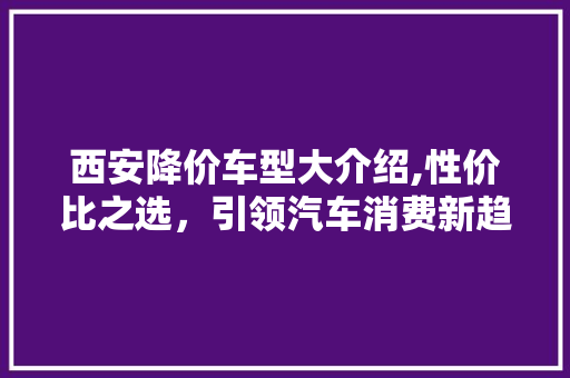 西安降价车型大介绍,性价比之选，引领汽车消费新趋势