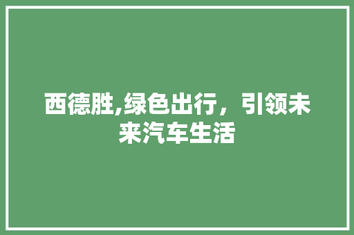 西德胜,绿色出行，引领未来汽车生活