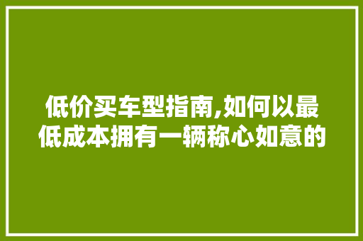 低价买车型指南,如何以最低成本拥有一辆称心如意的座驾