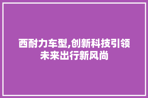 西耐力车型,创新科技引领未来出行新风尚