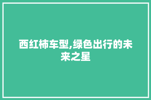 西红柿车型,绿色出行的未来之星