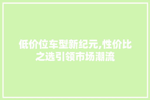低价位车型新纪元,性价比之选引领市场潮流