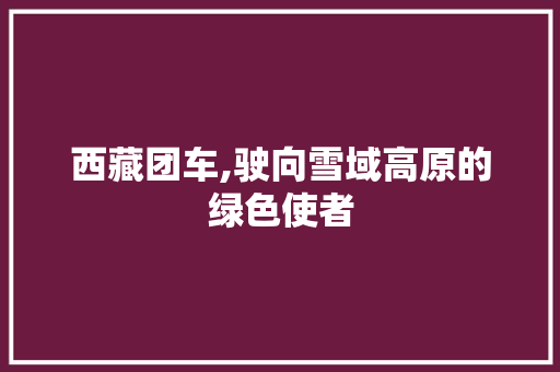 西藏团车,驶向雪域高原的绿色使者