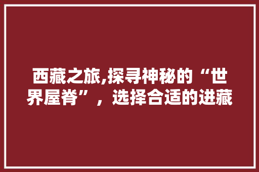 西藏之旅,探寻神秘的“世界屋脊”，选择合适的进藏车型至关重要