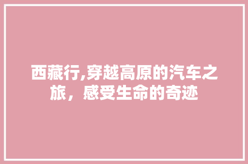 西藏行,穿越高原的汽车之旅，感受生命的奇迹