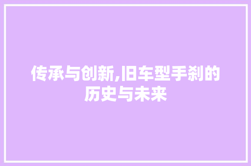 传承与创新,旧车型手刹的历史与未来