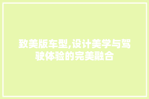 致美版车型,设计美学与驾驶体验的完美融合