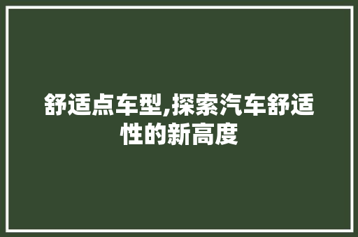 舒适点车型,探索汽车舒适性的新高度