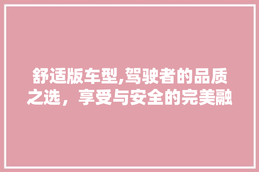舒适版车型,驾驶者的品质之选，享受与安全的完美融合