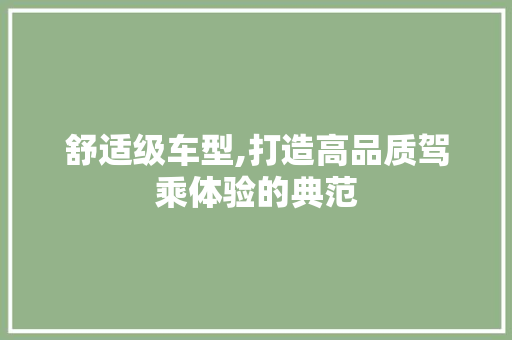 舒适级车型,打造高品质驾乘体验的典范