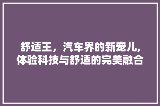舒适王，汽车界的新宠儿,体验科技与舒适的完美融合 汽车配件