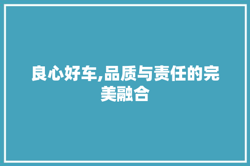 良心好车,品质与责任的完美融合