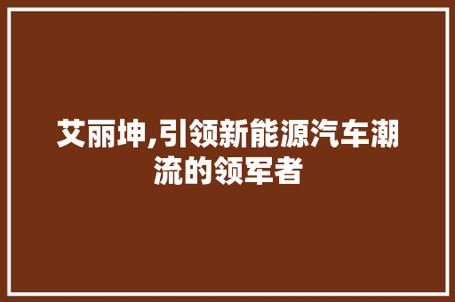 艾丽坤,引领新能源汽车潮流的领军者
