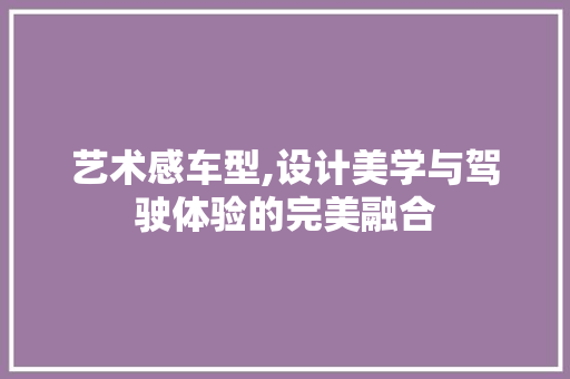 艺术感车型,设计美学与驾驶体验的完美融合