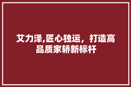 艾力泽,匠心独运，打造高品质家轿新标杆