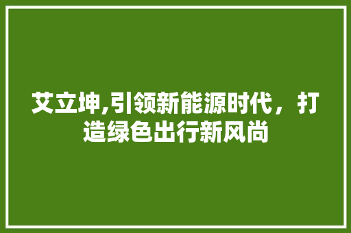 艾立坤,引领新能源时代，打造绿色出行新风尚