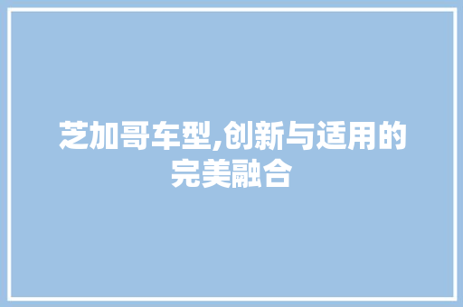 芝加哥车型,创新与适用的完美融合