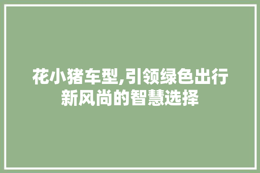 花小猪车型,引领绿色出行新风尚的智慧选择