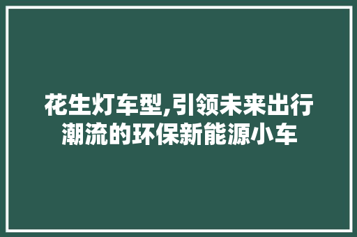 花生灯车型,引领未来出行潮流的环保新能源小车