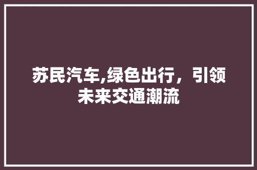 苏民汽车,绿色出行，引领未来交通潮流