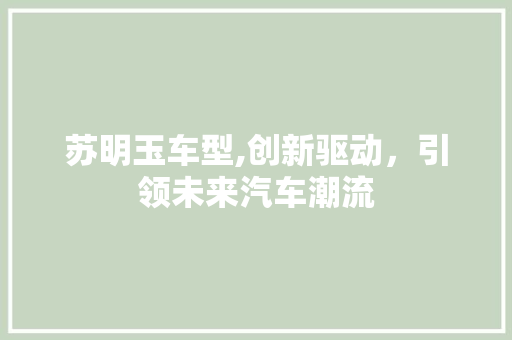 苏明玉车型,创新驱动，引领未来汽车潮流