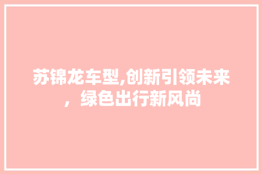 苏锦龙车型,创新引领未来，绿色出行新风尚