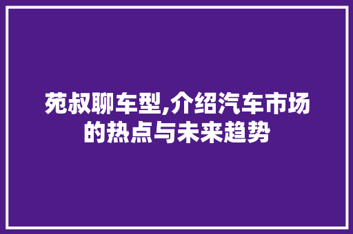 苑叔聊车型,介绍汽车市场的热点与未来趋势