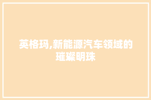 英格玛,新能源汽车领域的璀璨明珠