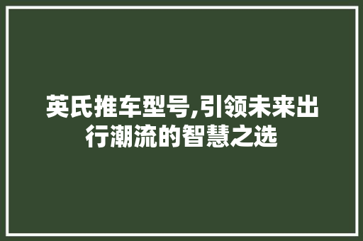 英氏推车型号,引领未来出行潮流的智慧之选