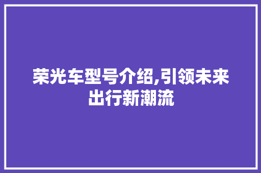 荣光车型号介绍,引领未来出行新潮流