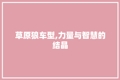 草原狼车型,力量与智慧的结晶