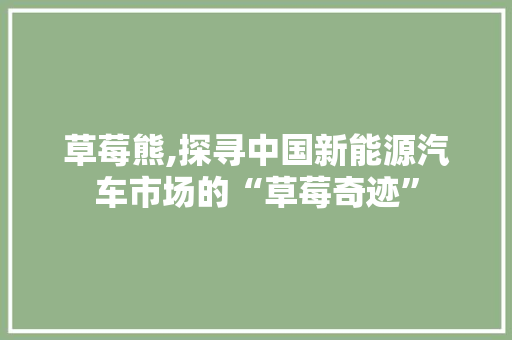 草莓熊,探寻中国新能源汽车市场的“草莓奇迹”