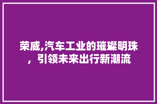 荣威,汽车工业的璀璨明珠，引领未来出行新潮流