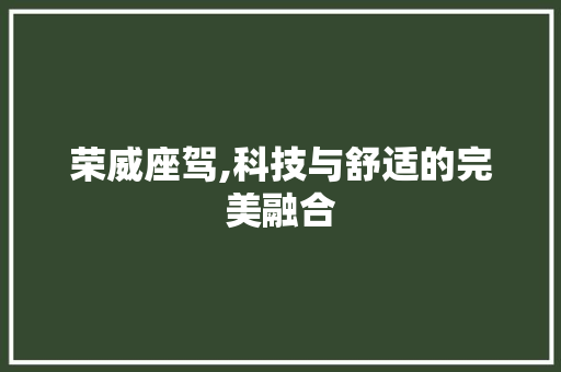 荣威座驾,科技与舒适的完美融合