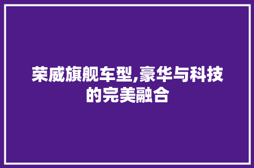 荣威旗舰车型,豪华与科技的完美融合