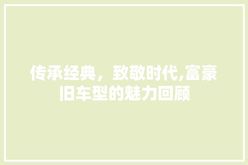 传承经典，致敬时代,富豪旧车型的魅力回顾