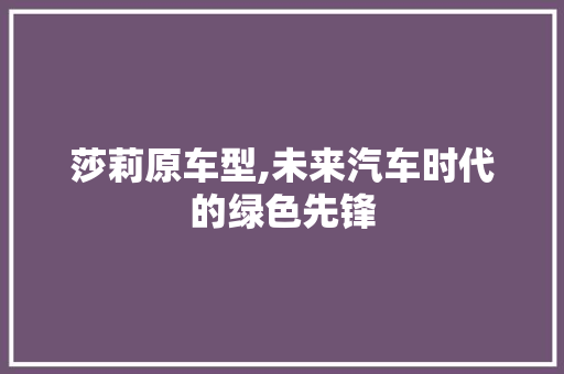 莎莉原车型,未来汽车时代的绿色先锋