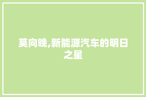 莫向晚,新能源汽车的明日之星